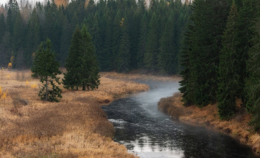 Photograph by Артем Алексеев