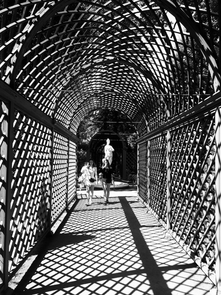 Photograph by Евгений Корниенко