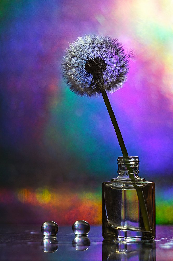 Photograph by Наталья Терентьева