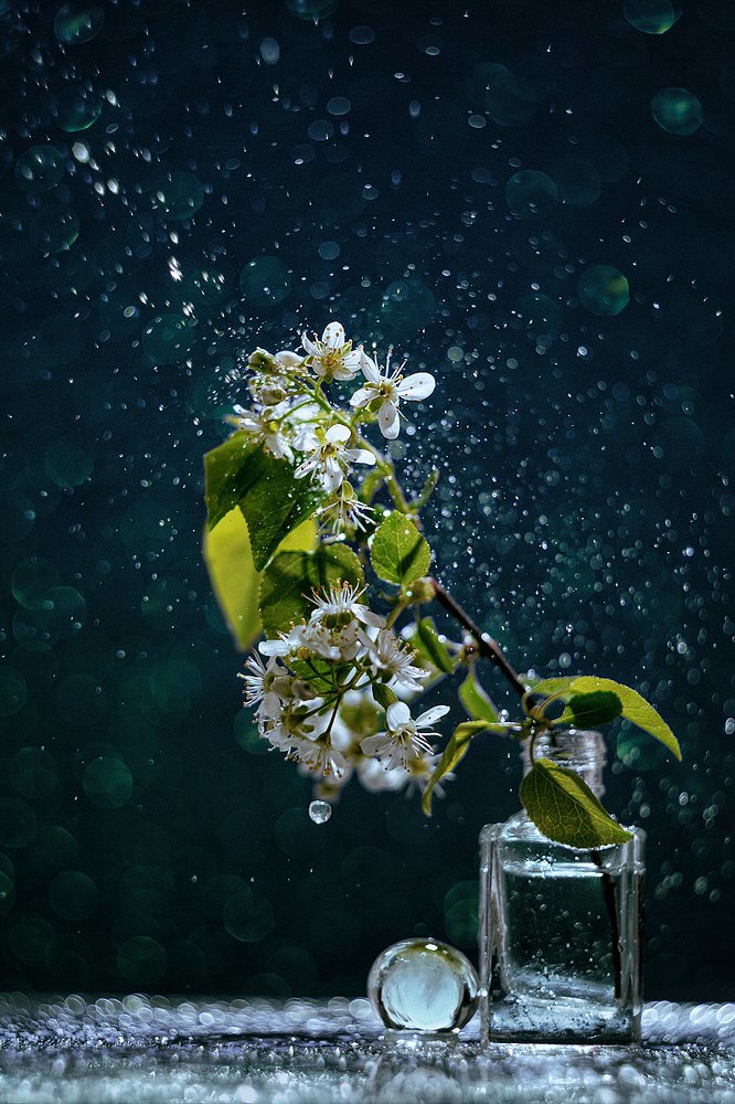 Ночная сказка серебристых капелек…