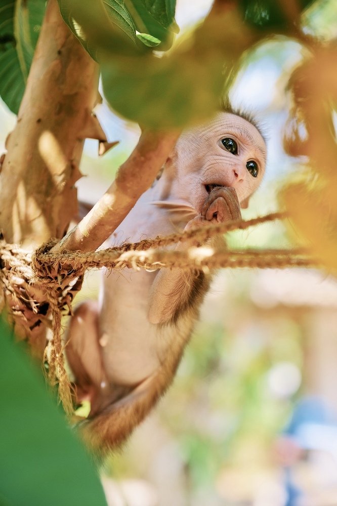 Photograph by Аида Фай