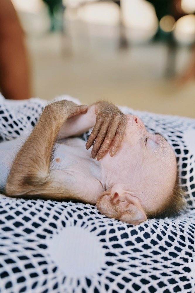 Photograph by Аида Фай