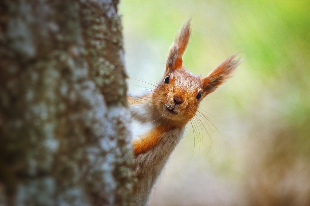 Photograph by Наталья Терентьева