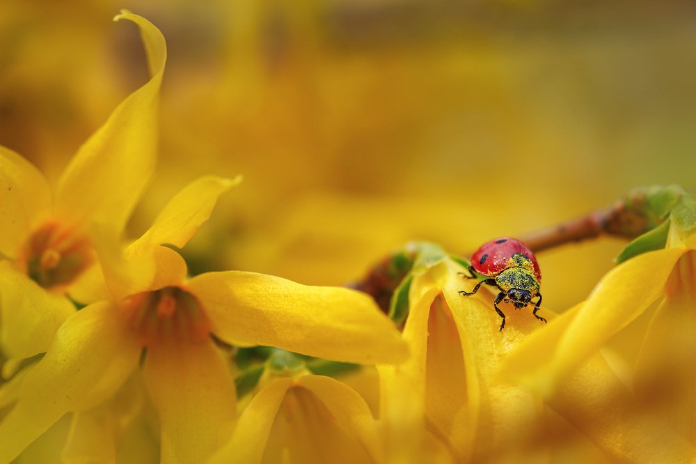 Photograph by Наталья Терентьева