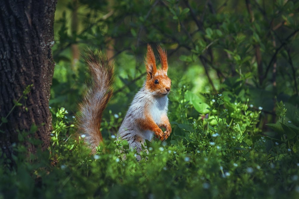 Photograph by Наталья Терентьева