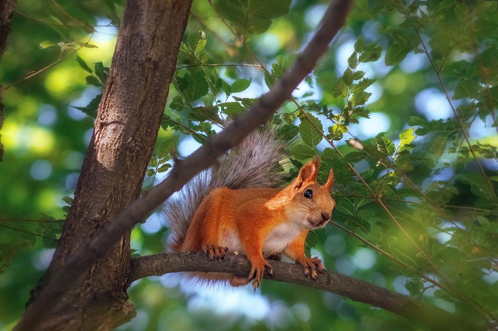 Photograph by Наталья Терентьева
