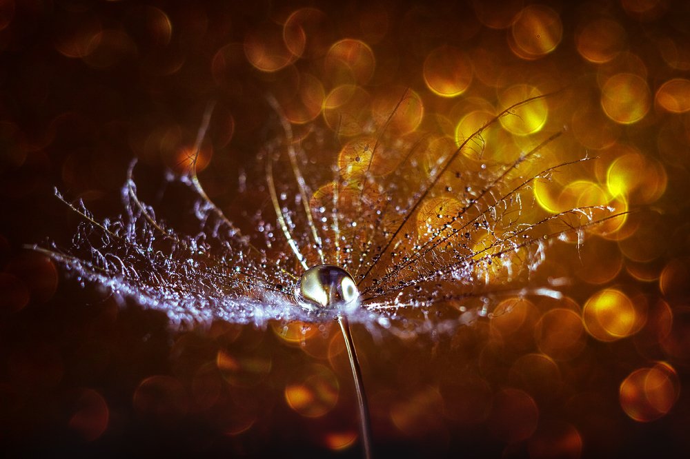 Photograph by Наталья Терентьева