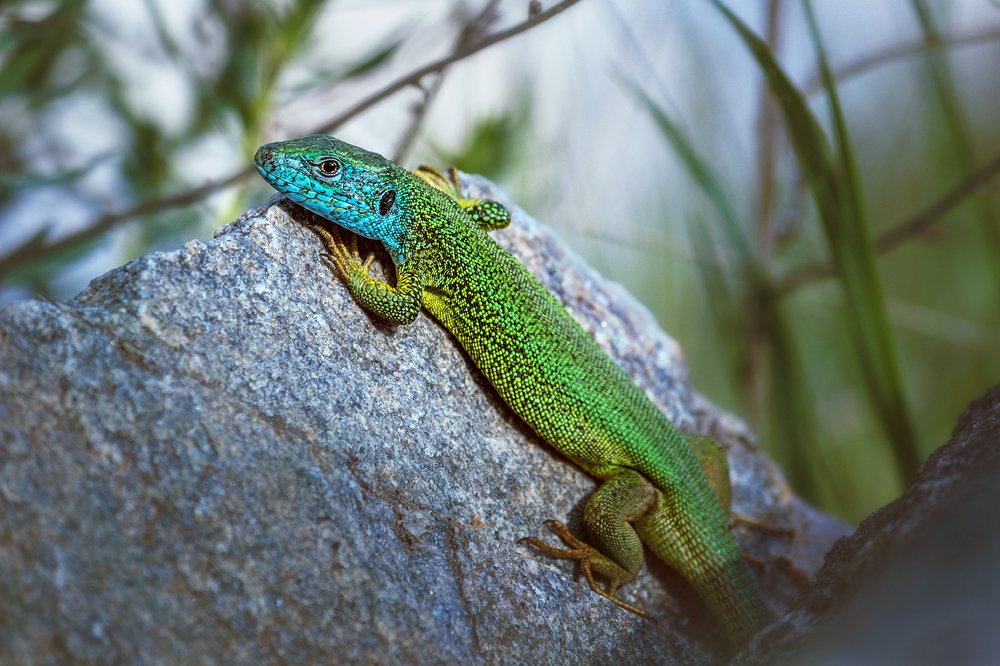 Photograph by Наталья Терентьева