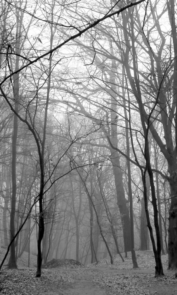 Photograph by Марина Шамич