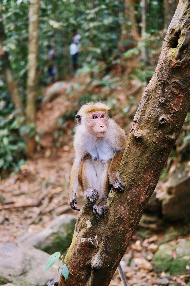 Photograph by Аида Фай