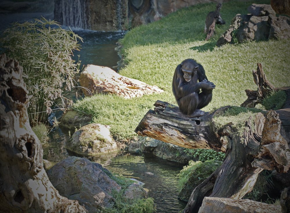 Ловись, рыбка, большая и маленькая...