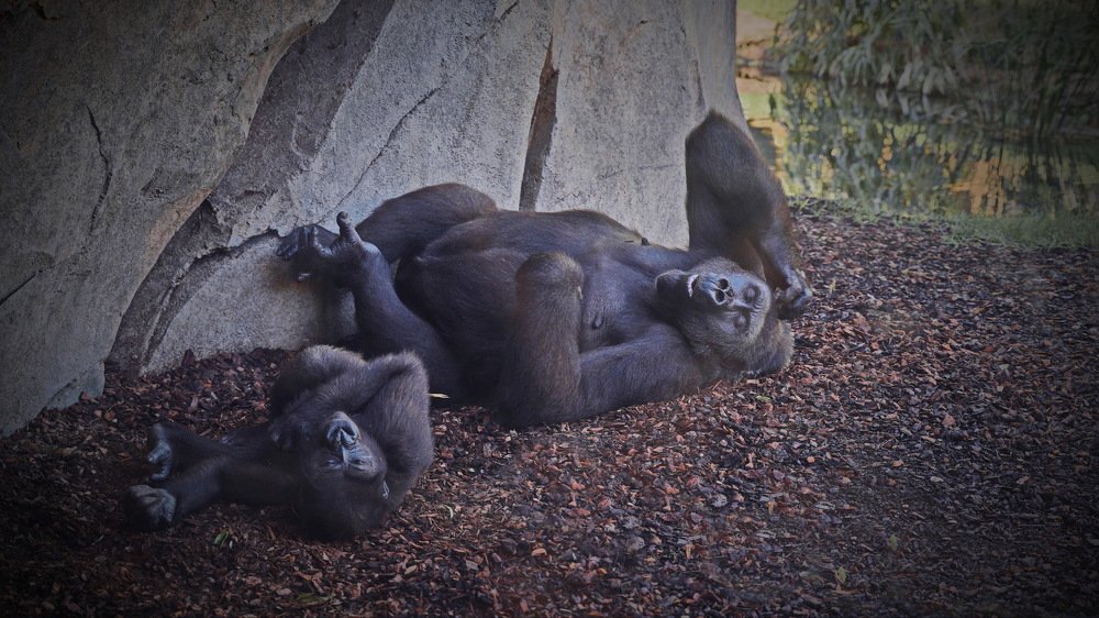 Семейный разговор.