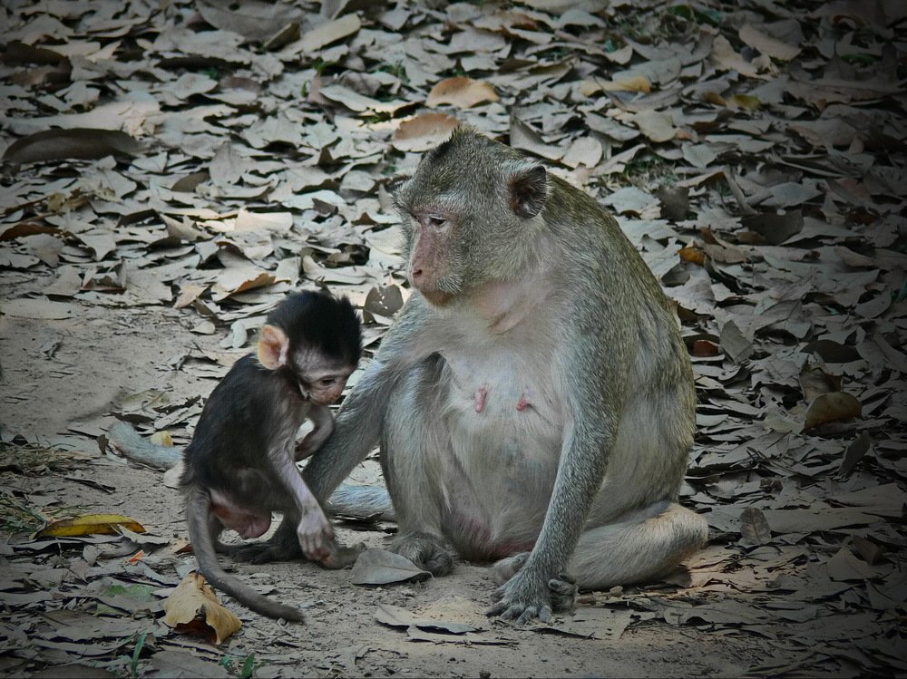 Провинился.