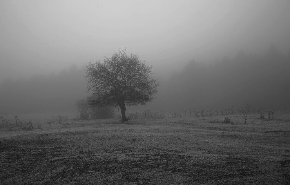 Photograph by Красимир Георгиев