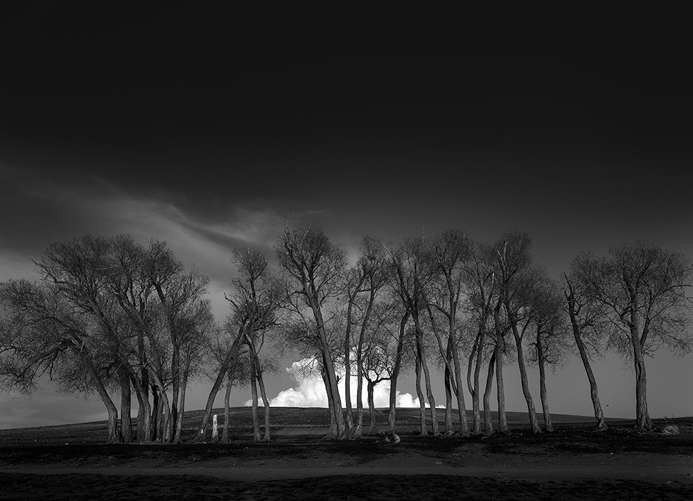 Photograph by Alireza Ahmadizadeh