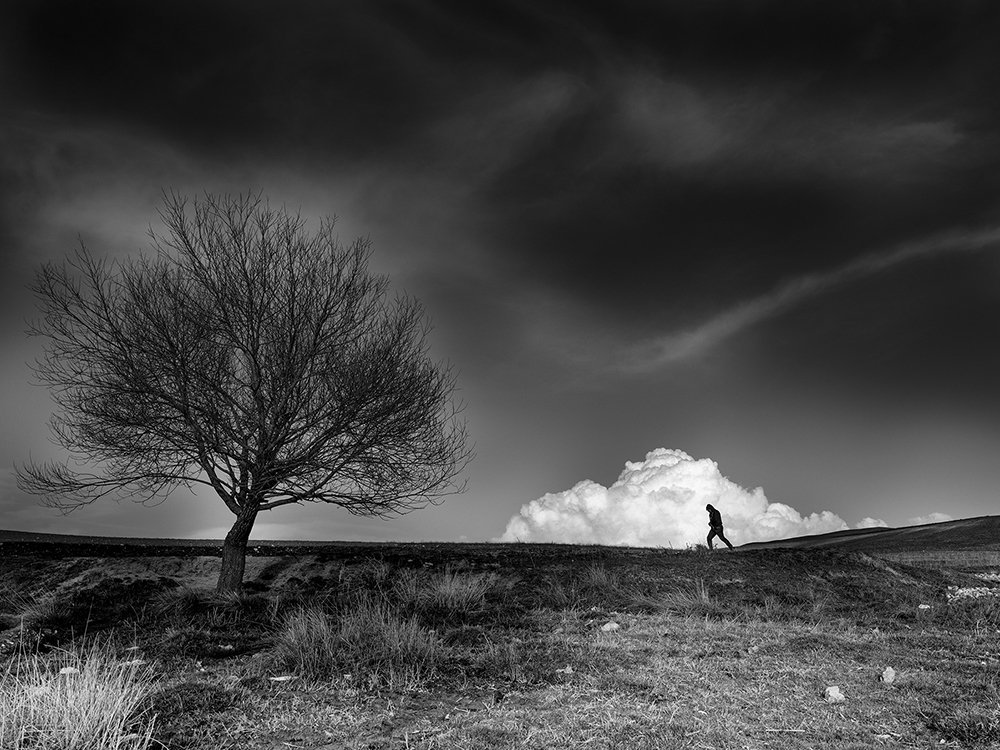 Photograph by Alireza Ahmadizadeh