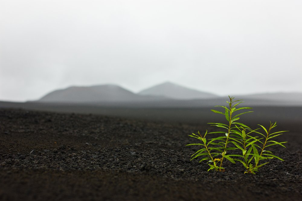 Photograph by Eski