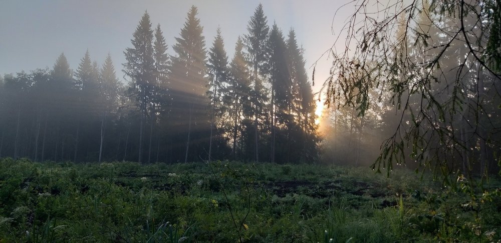 Photograph by Денис