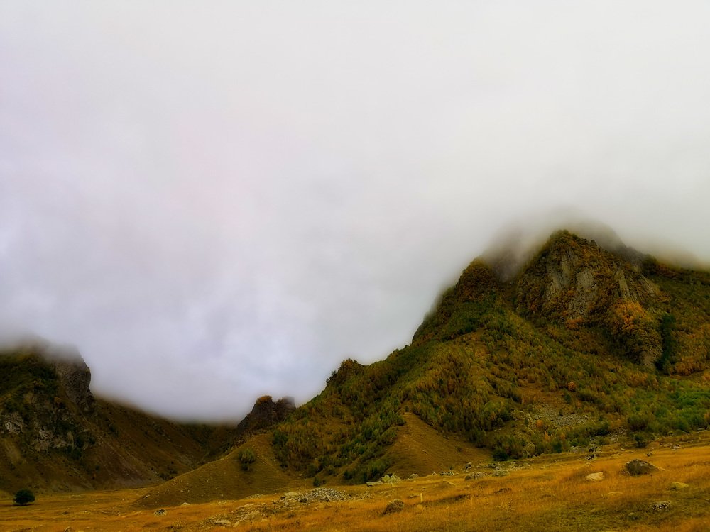 Photograph by Александр Максимов