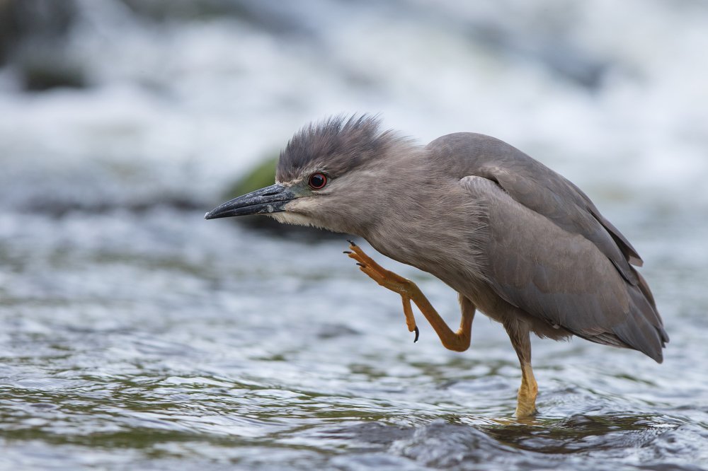 Photograph by Radosław Makowczyński