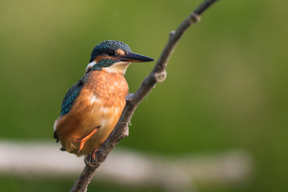 Photograph by Radosław Makowczyński