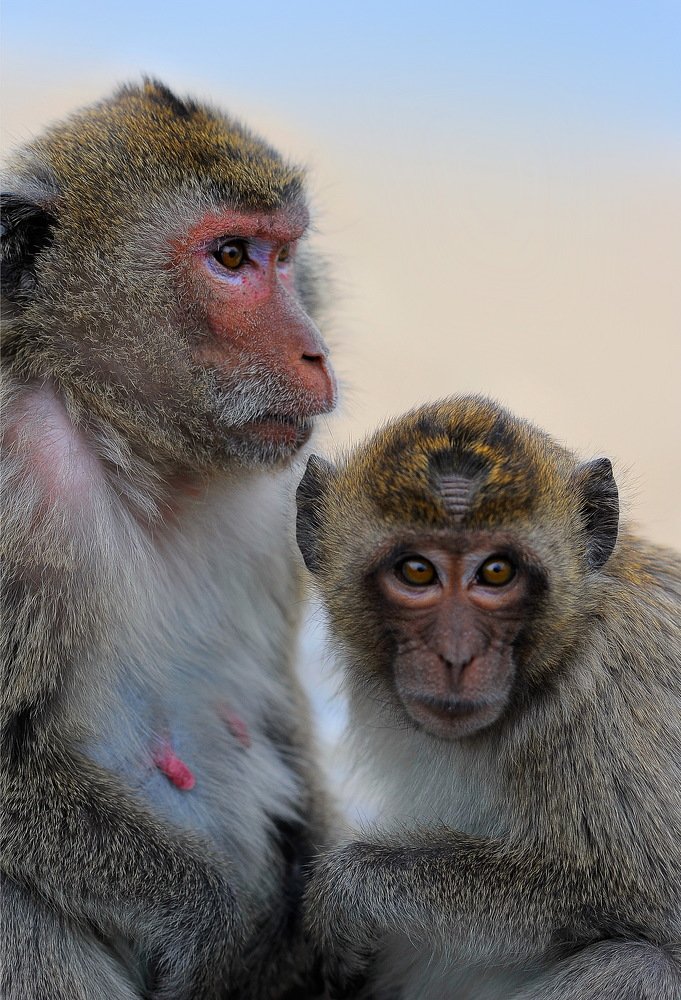 Photograph by Светлана Борозенцева