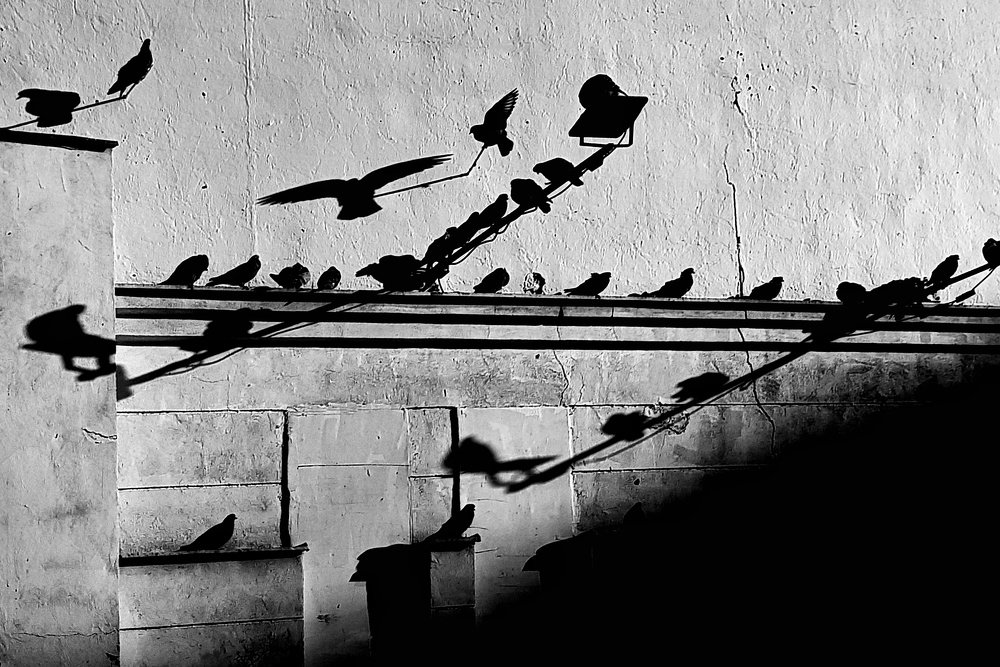 Photograph by Marcin Sokolowski - maarew