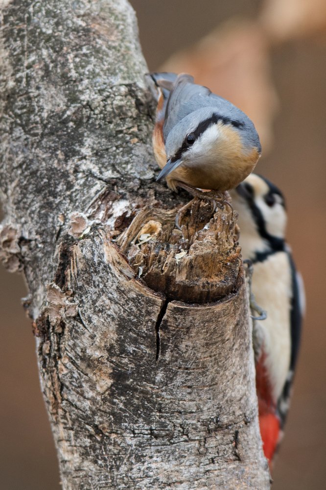 Photograph by Radosław Makowczyński