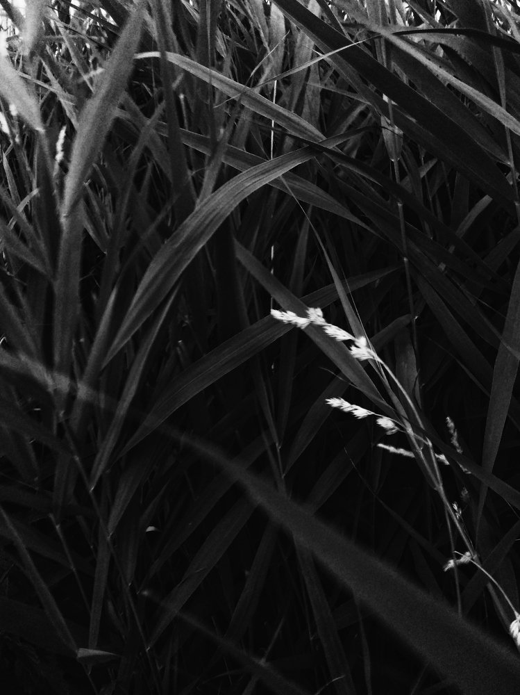 Photograph by Алексей Дудьянов