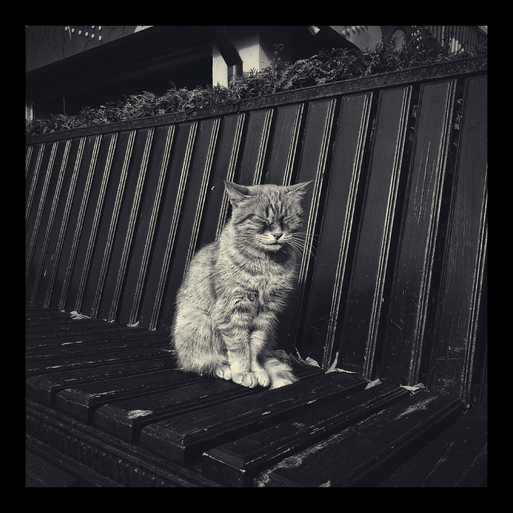 Photograph by Алексей Дудьянов