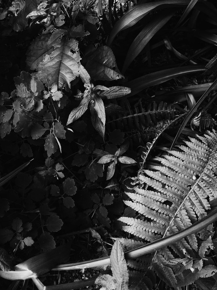 Photograph by Алексей Дудьянов