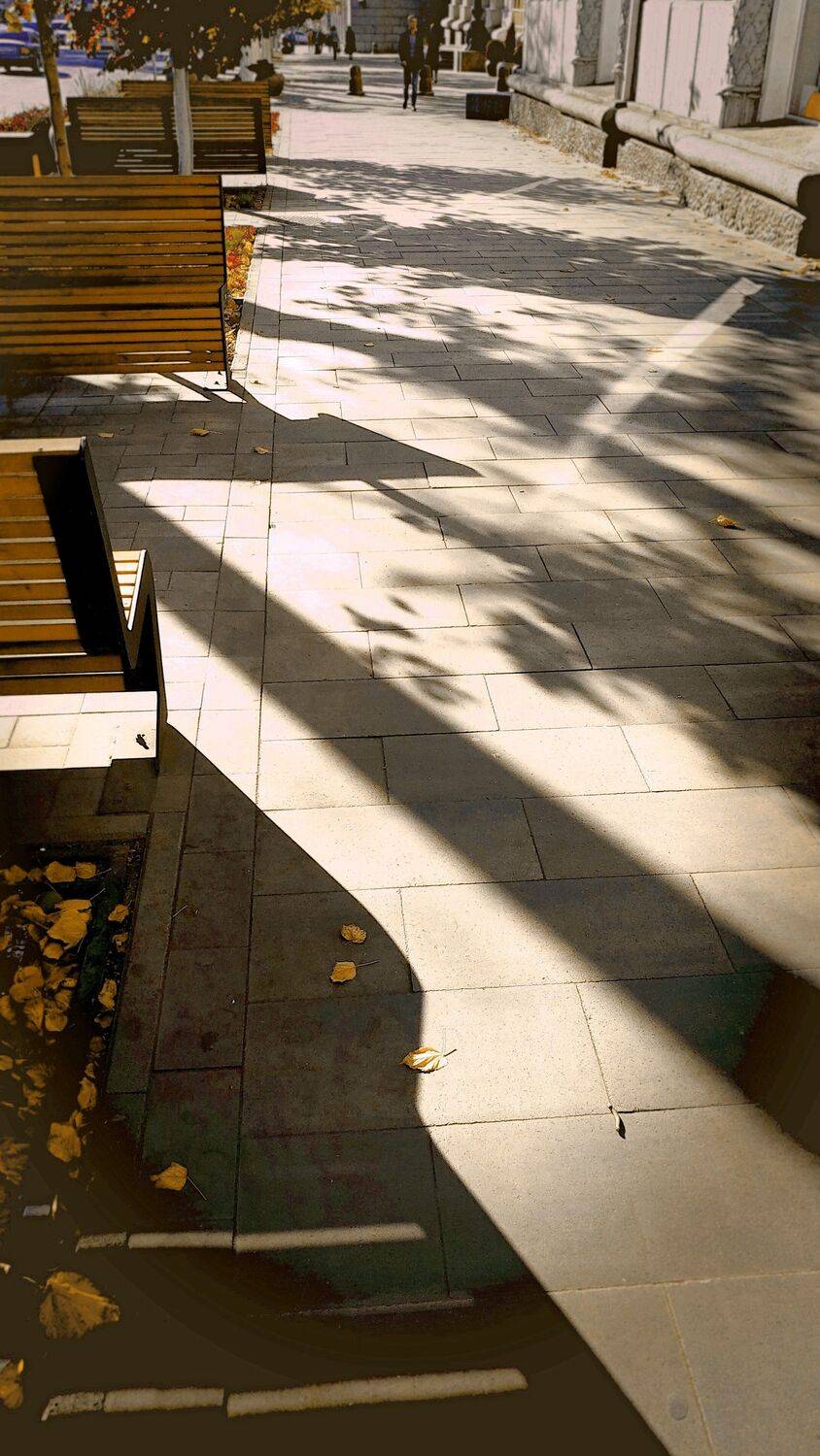 Взаимопроникновение