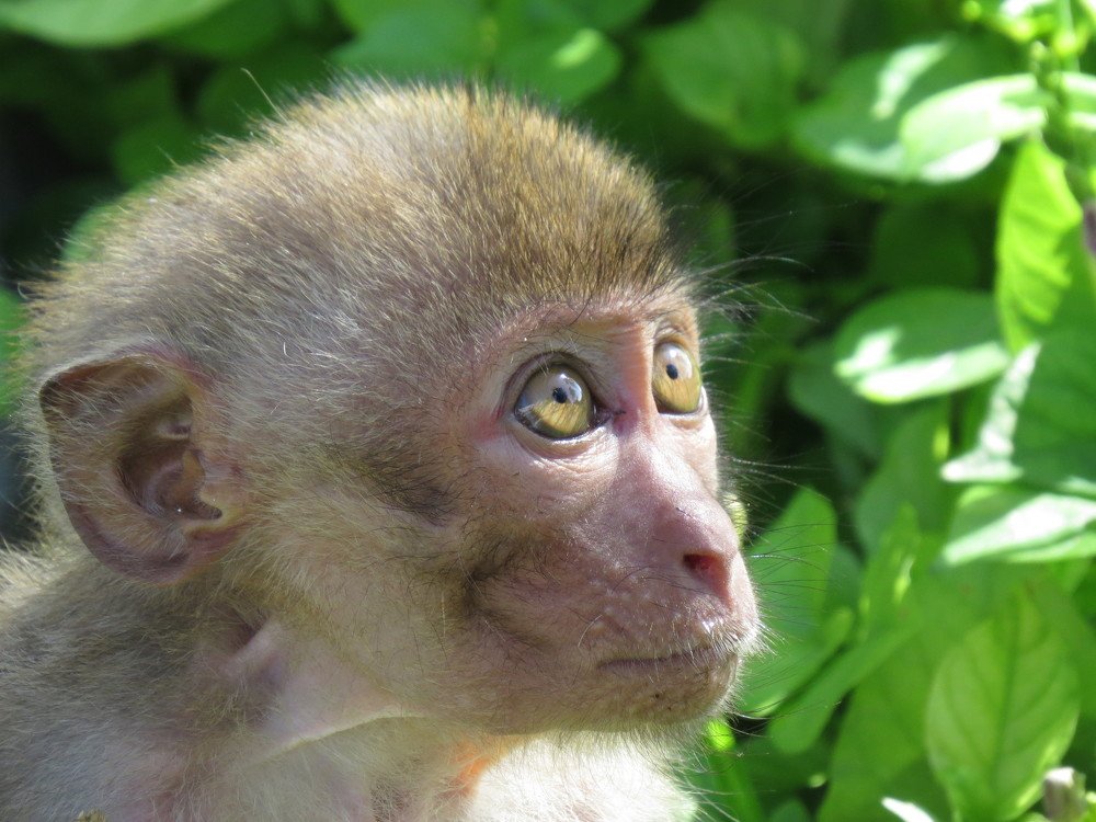 Photograph by Evgeniya