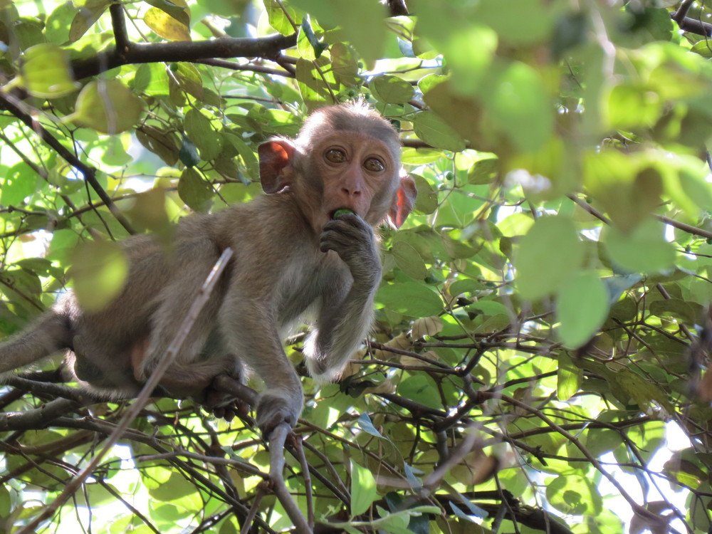 Photograph by Evgeniya