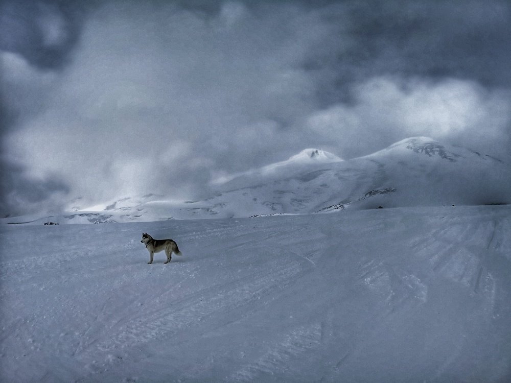 Photograph by Natali