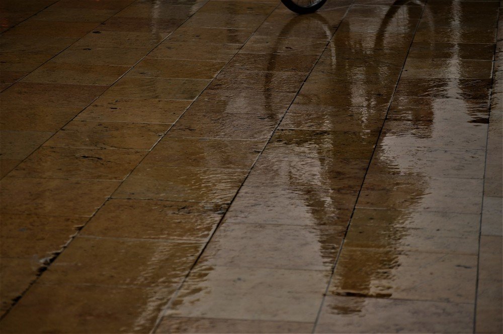 Photograph by stefanini alexis