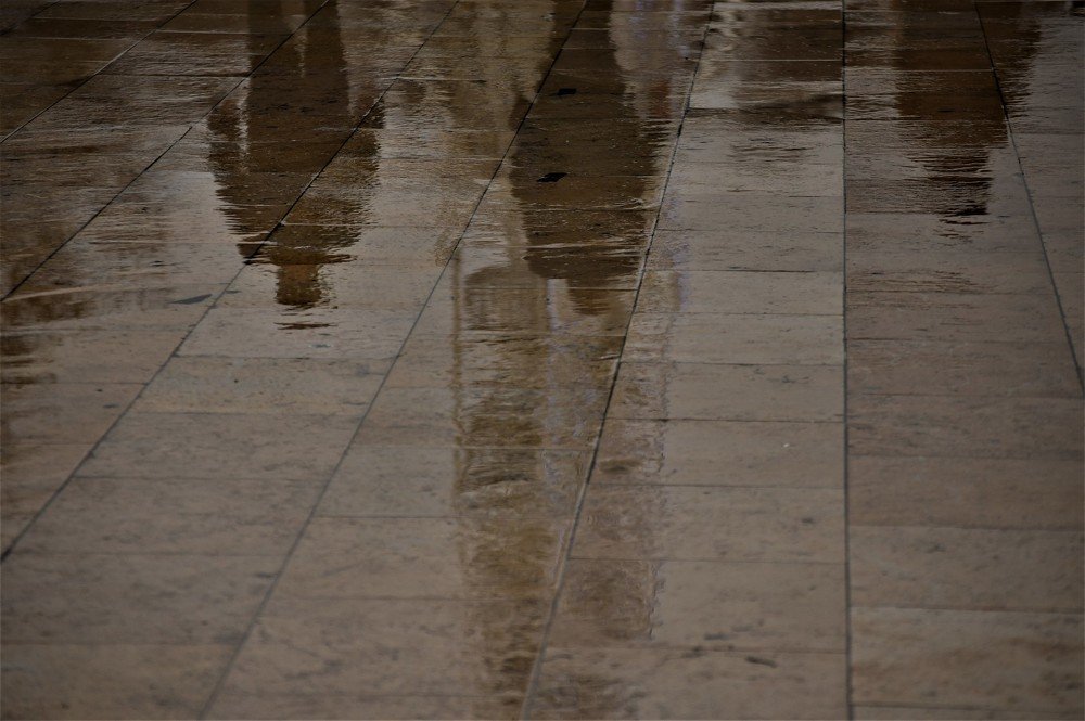 Photograph by stefanini alexis