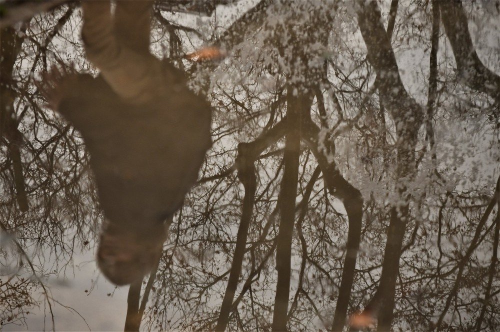 Photograph by stefanini alexis