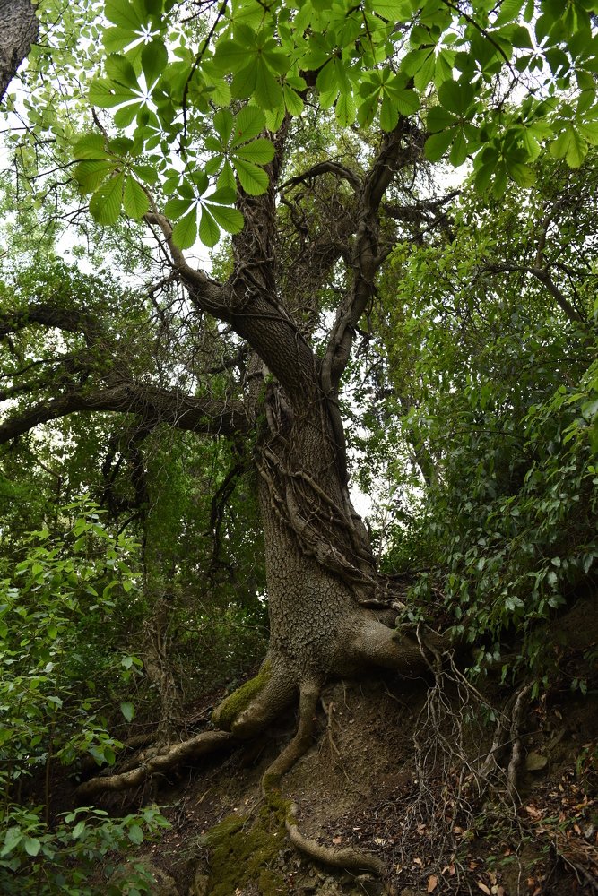 Photograph by Семен Батов