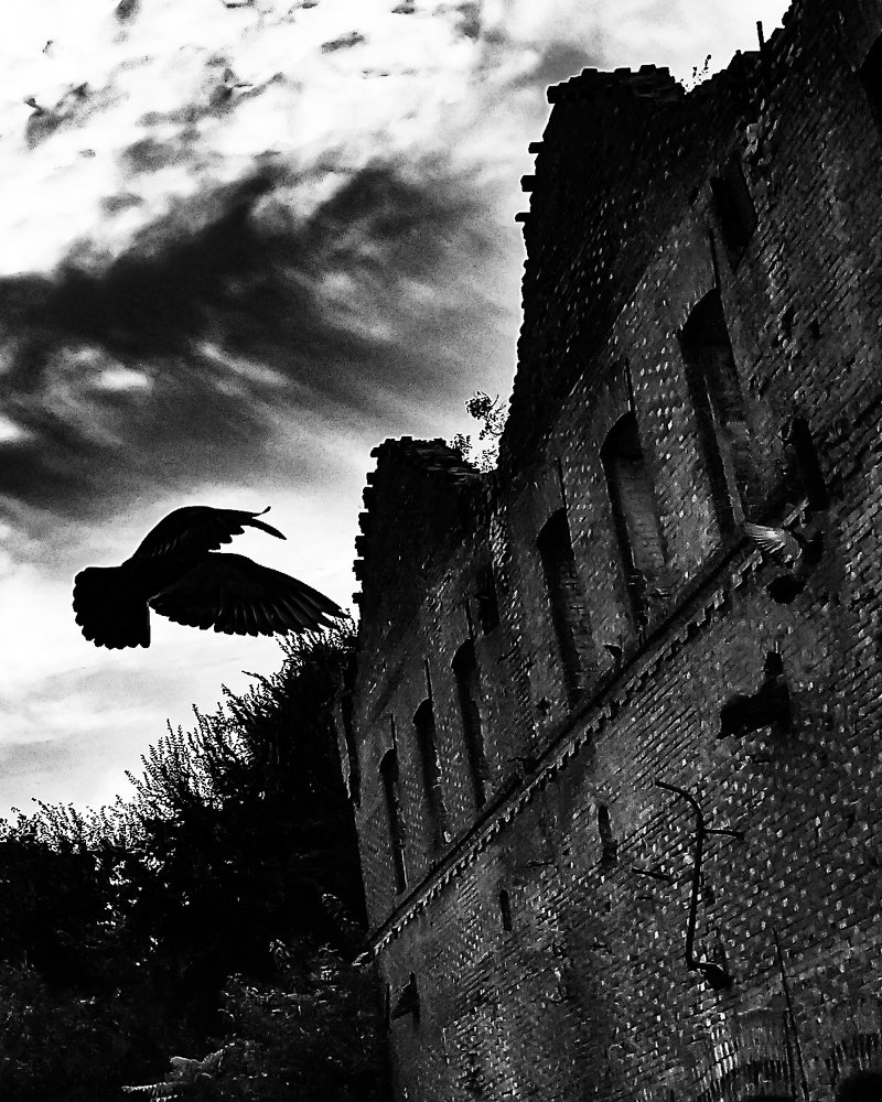 Photograph by Наталья Дорошенко