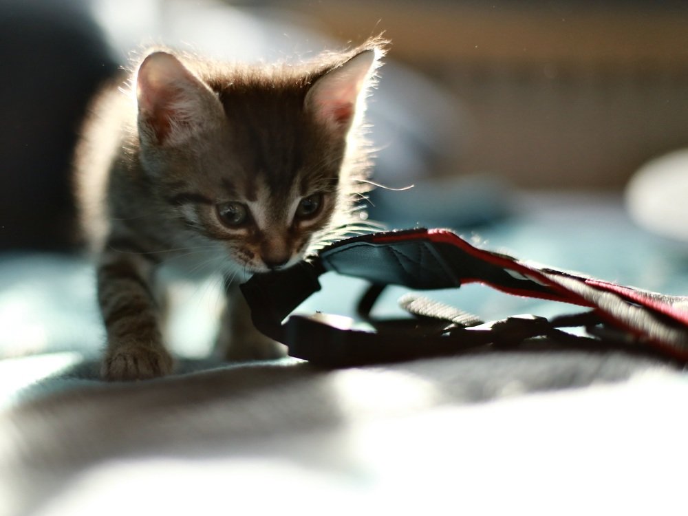 Photograph by Алия Айткалиева