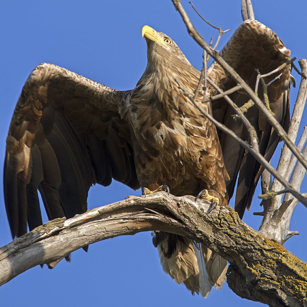 Photograph by Vladimir