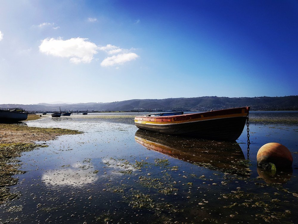 Photograph by Tanja Bantjes