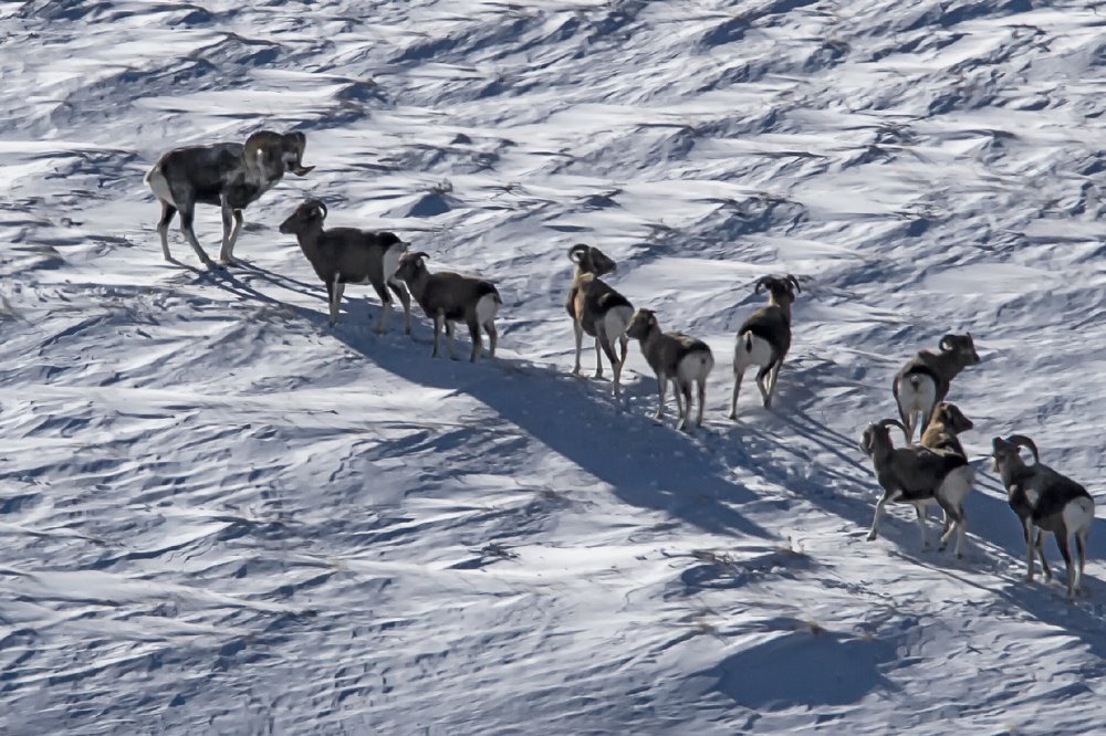 Photograph by Vladimir