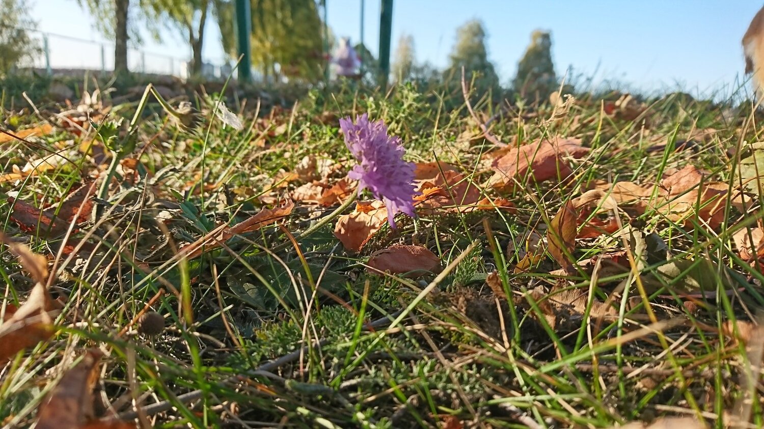 Photo #4205231