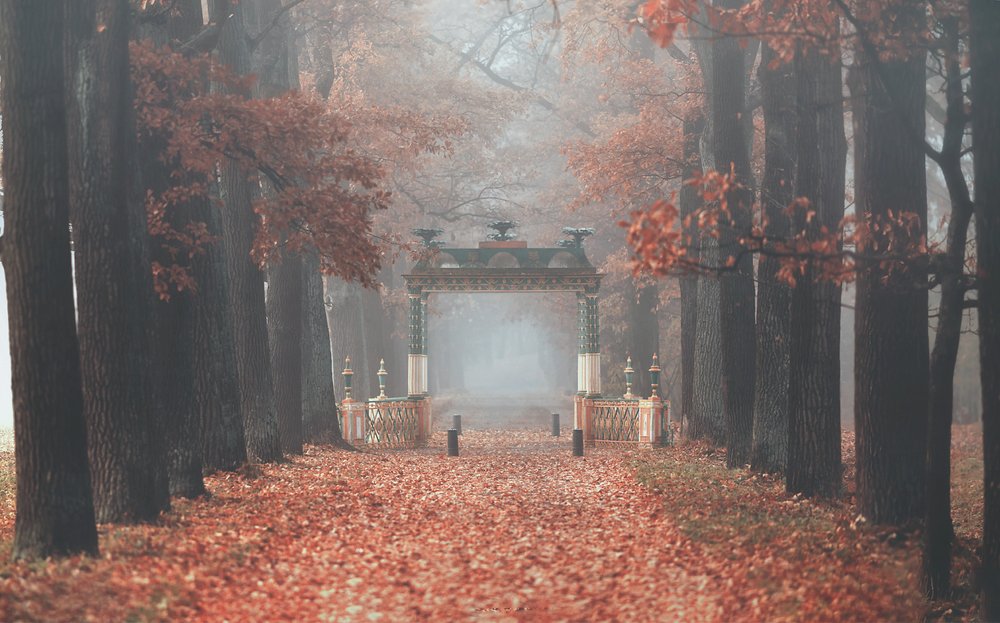 Photograph by Таня SHE (Aiya)