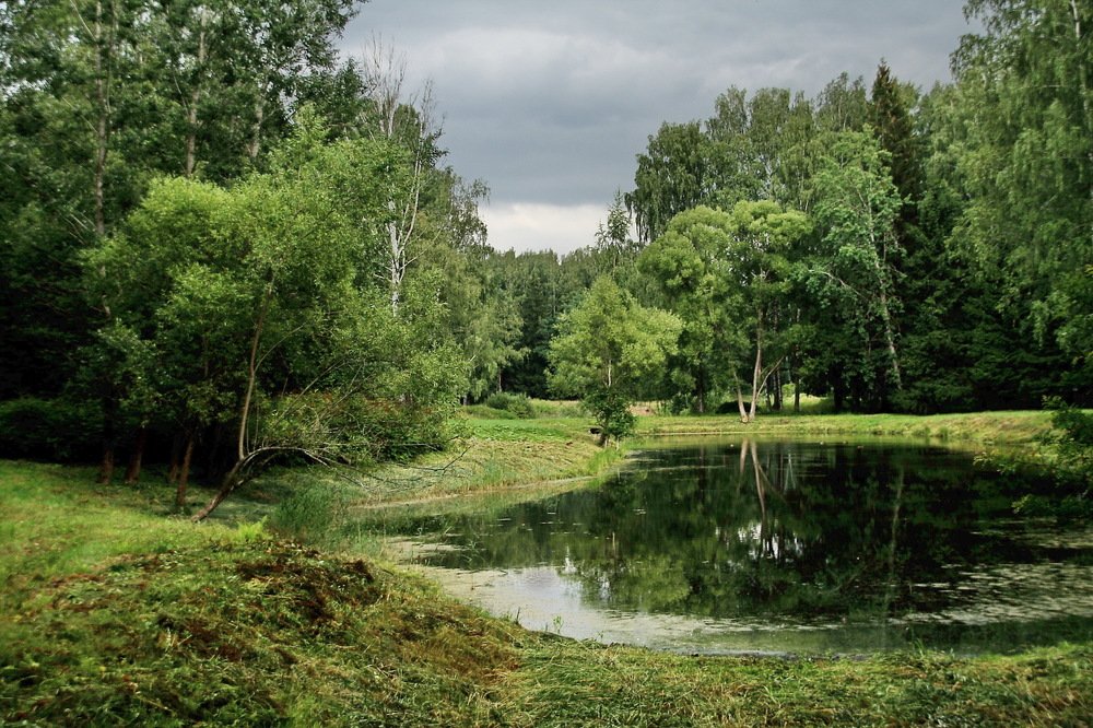 Photograph by Юрий Чистяков