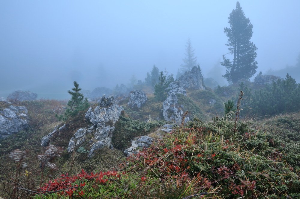 Photograph by Евгения Чех