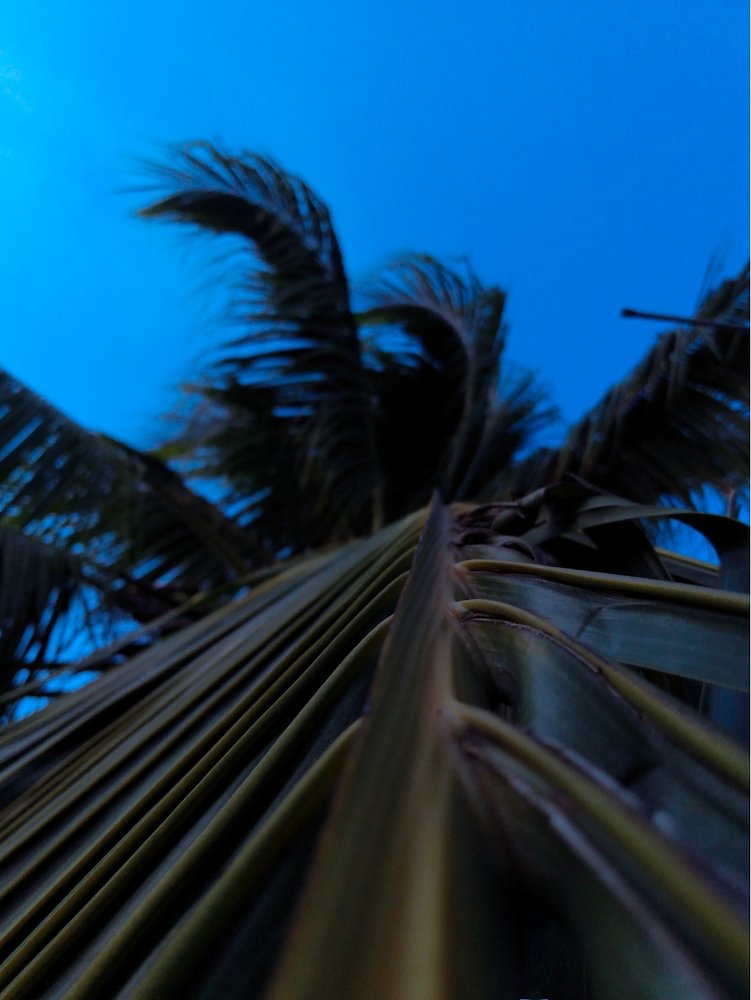 Photograph by Annanda Beatriz Carneiro da Silva