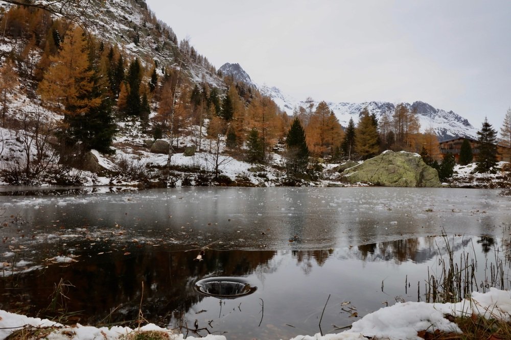 Photograph by Olga Celegato